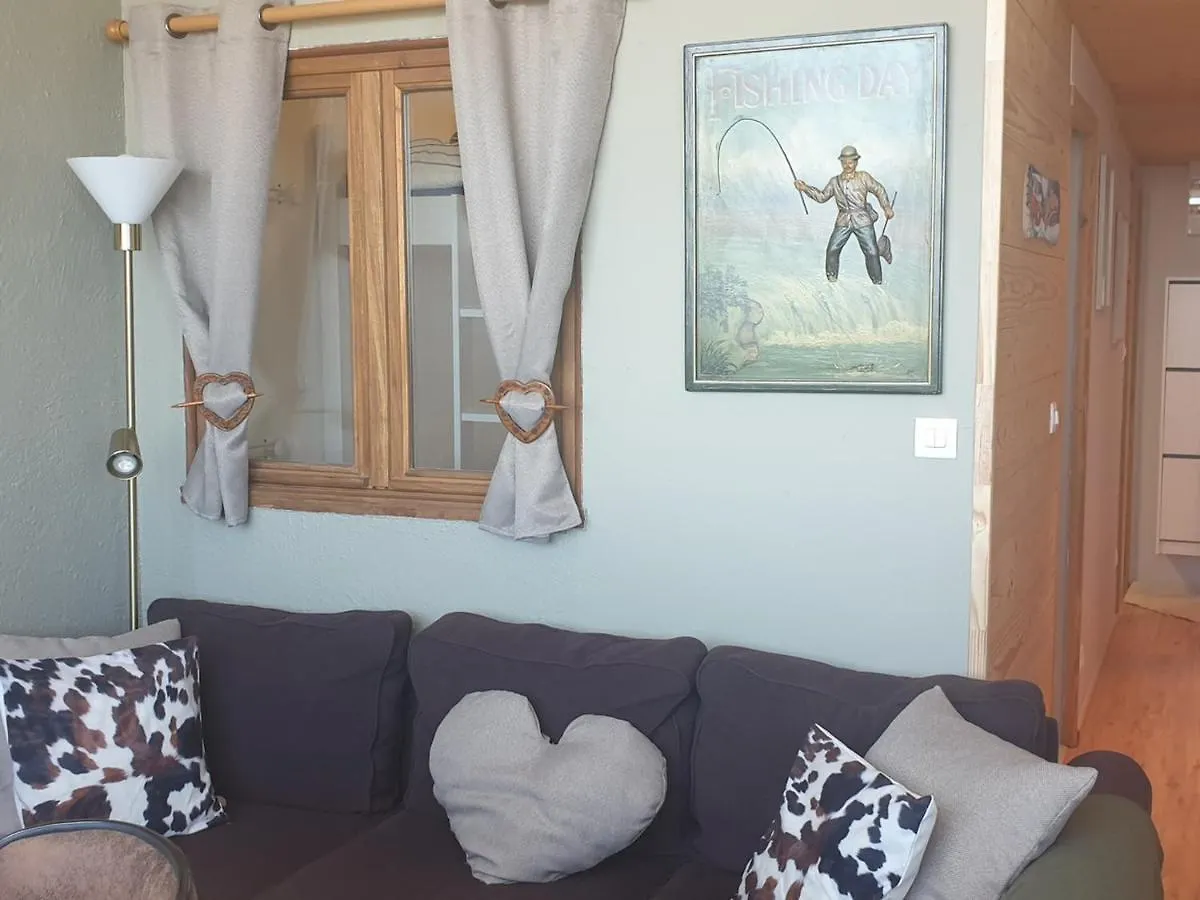 Superbe 3 Pieces Renove Pied Des Pistes Mont-Blanc - Fr-1-181-2553 Apartment La Plagne France