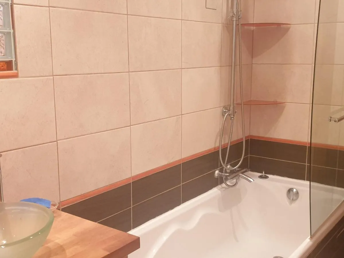 Superbe 3 Pieces Renove Pied Des Pistes Mont-Blanc - Fr-1-181-2553 Apartment La Plagne